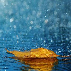 人进入马的水门正确做法
